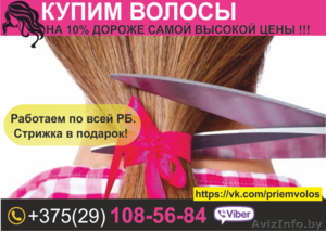 Покупаем волосы дороже всех. Могилев. - Изображение #1, Объявление #1545610