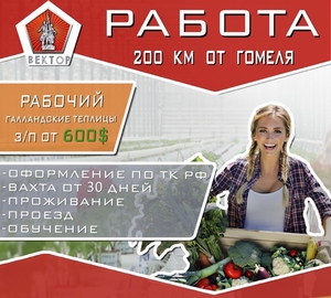 Рабочие в теплицу достойная оплата труда