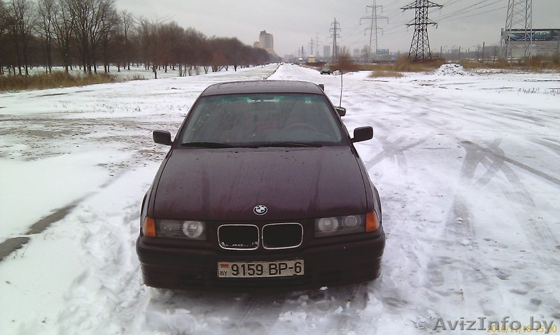 Отдам хорошего друга в надежные руки - за небольшое вознаграждение) - Изображение #1, Объявление #112707