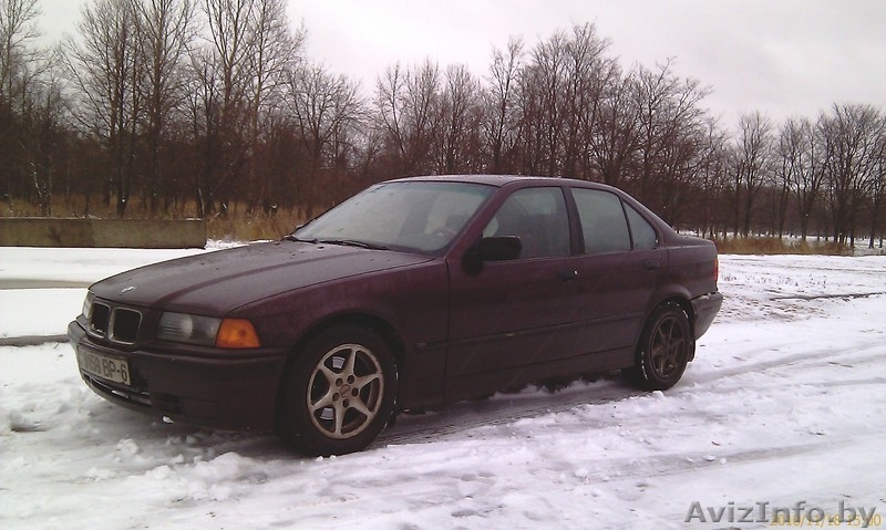Отдам хорошего друга в надежные руки - за небольшое вознаграждение) - Изображение #2, Объявление #112707