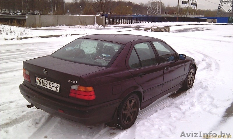 Отдам хорошего друга в надежные руки - за небольшое вознаграждение) - Изображение #3, Объявление #112707