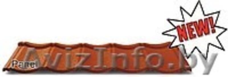 Кровля из Могилёва.Модульная металлочерепица Regamet (Регамет) - Изображение #1, Объявление #183108