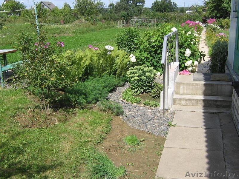 Дача, Шкловское направление, ст. Рыжковичи. - Изображение #2, Объявление #284204