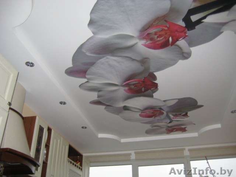 Натяжной потолок  в Могилеве т.5-88-99-58 мтс 6-99-77-92 вел. - Изображение #2, Объявление #513763