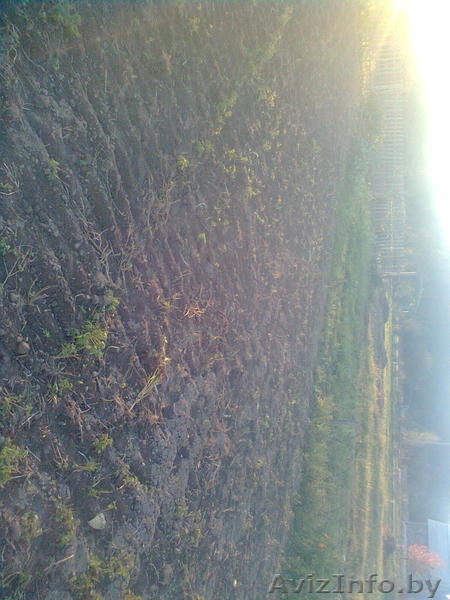 Срочно продаю дачу! - Изображение #7, Объявление #861672