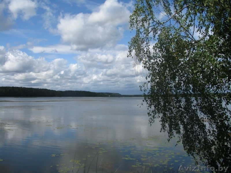 Уютный коттедж посуточно на берегу реки Друть - Изображение #9, Объявление #895947