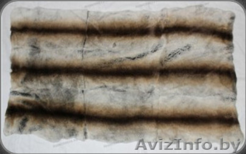 Продажа пластин и шкурок кролика рекс - Изображение #4, Объявление #921465