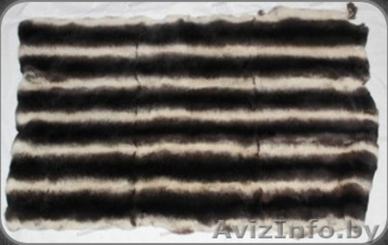 Продажа пластин и шкурок кролика рекс - Изображение #5, Объявление #921465