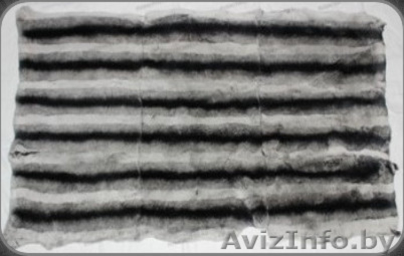 Продажа пластин и шкурок кролика рекс - Изображение #7, Объявление #921465