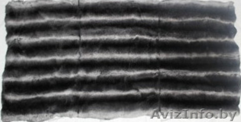 Продажа пластин и шкурок кролика рекс - Изображение #8, Объявление #921465