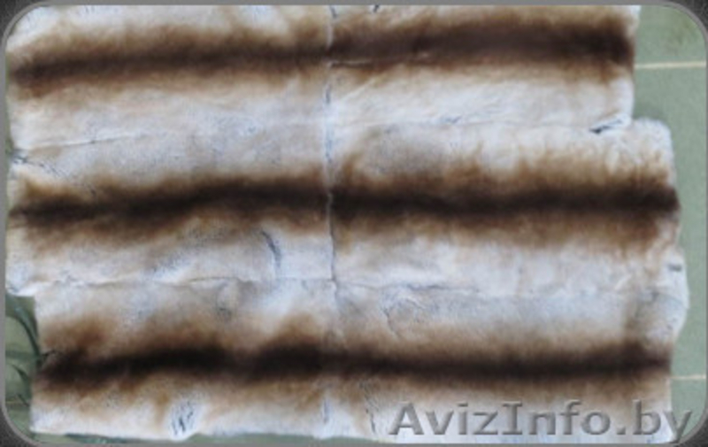 Продажа пластин и шкурок кролика рекс - Изображение #6, Объявление #921465