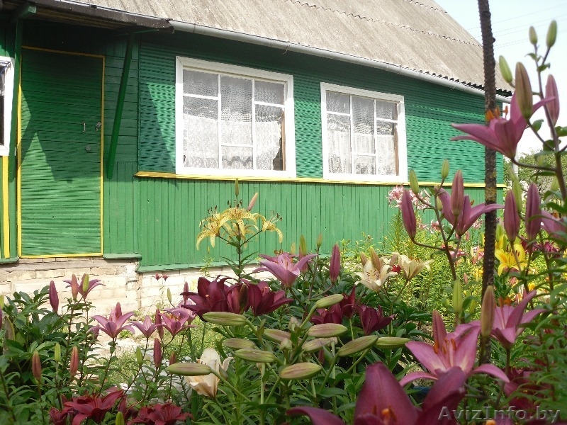 Продаётся дача в хорошем месте - Изображение #3, Объявление #946539