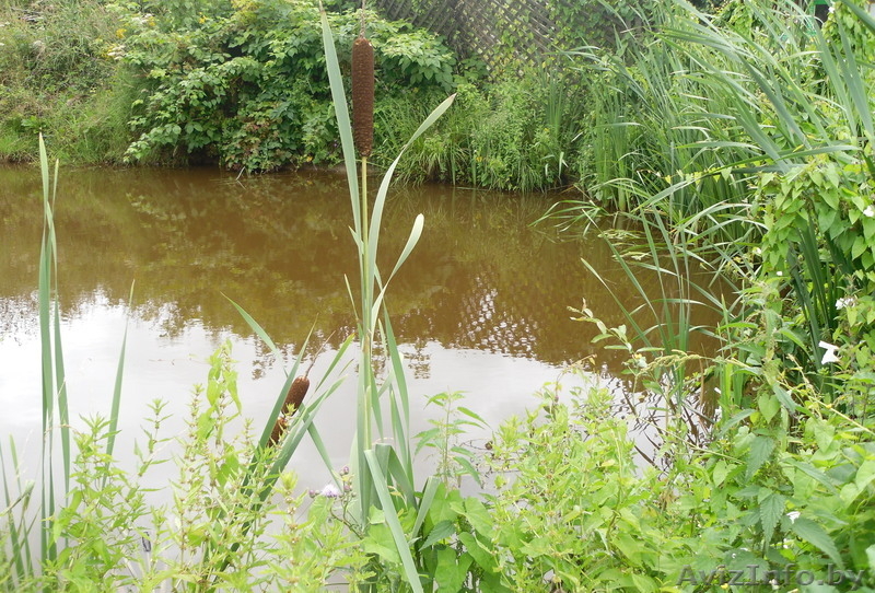 Продаётся дача в хорошем месте - Изображение #5, Объявление #946539