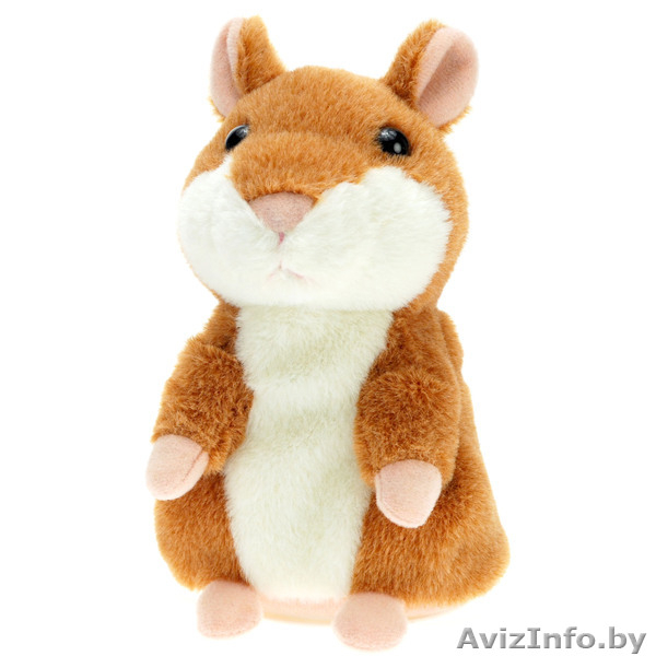 Говорящийх хомяк - Изображение #1, Объявление #971244