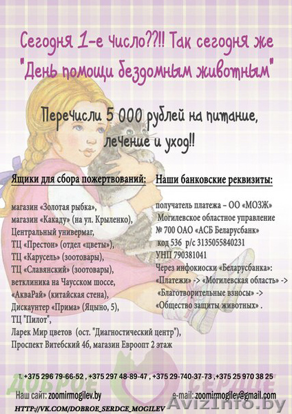 кошка и коты в дар - Изображение #7, Объявление #1039918