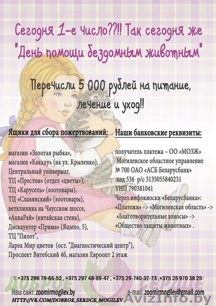 пуся в добрые руки - Изображение #2, Объявление #1039541