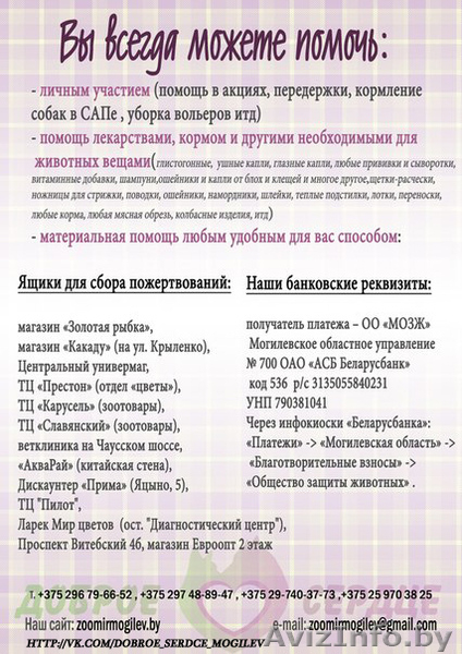 щеночки в дар надежным людям - Изображение #2, Объявление #1039568