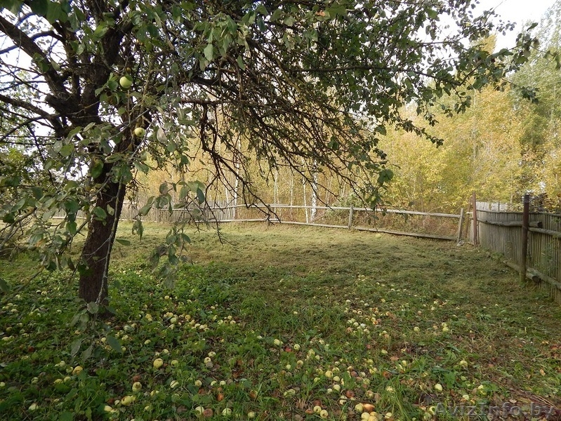 Продам дом в д. Новосёлки 12км от Могилёва - Изображение #5, Объявление #1154965