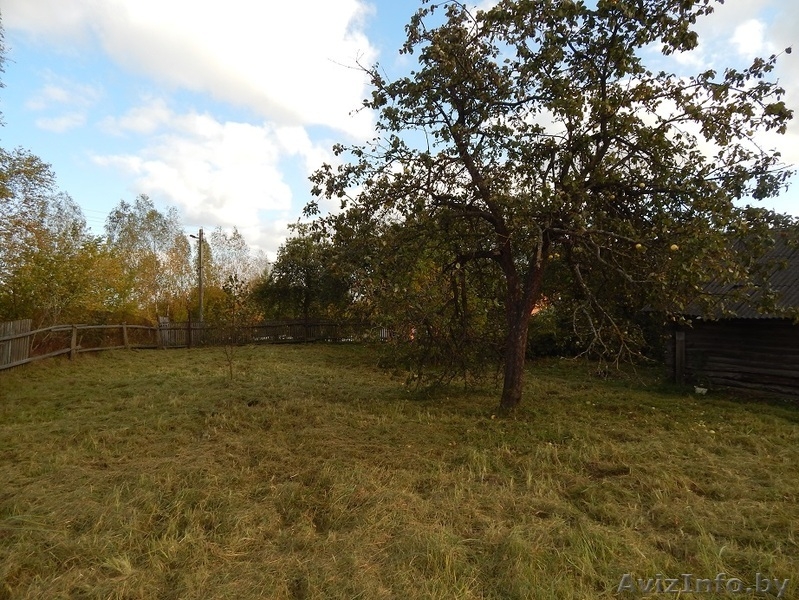 Продам дом в д. Новосёлки 12км от Могилёва - Изображение #4, Объявление #1154965