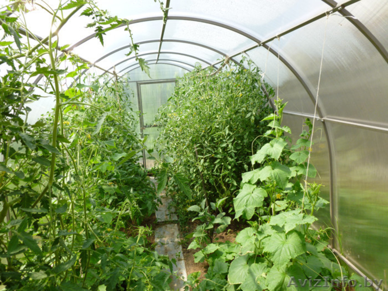 Теплица «Сибирская АвтоИнтеллект XXL» 4м Сверхпрочная - Изображение #2, Объявление #1183778