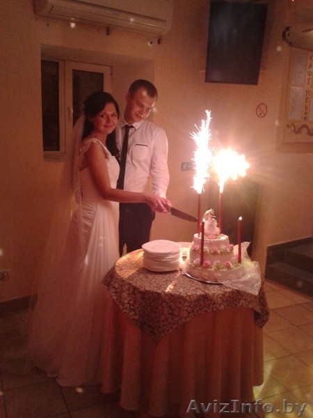 Услуги тамады на свадьбу.Клоуны - Изображение #10, Объявление #577350