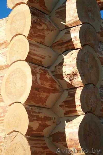 рубка срубов любой сложности - Изображение #1, Объявление #1228598