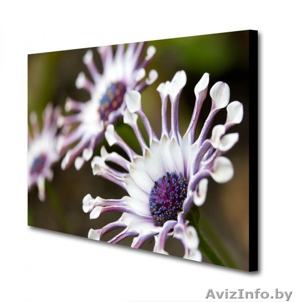 Печать на холсте - Изображение #1, Объявление #1264422