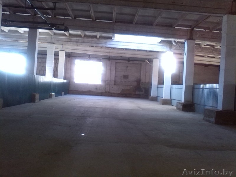 сдам в аренду  склад плюс офис бесплатно - Изображение #3, Объявление #783135