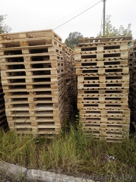 Частное предприятие "Сеалид" - Изображение #1, Объявление #1298264