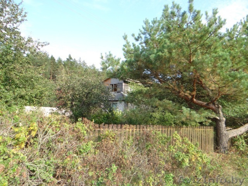 Участок 9 соток с домом 60м2 возле санатория "Сосны" - Изображение #6, Объявление #1321460
