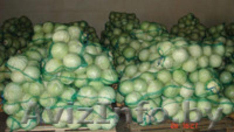 Овощи урожай 2015, опт - Изображение #1, Объявление #1335796