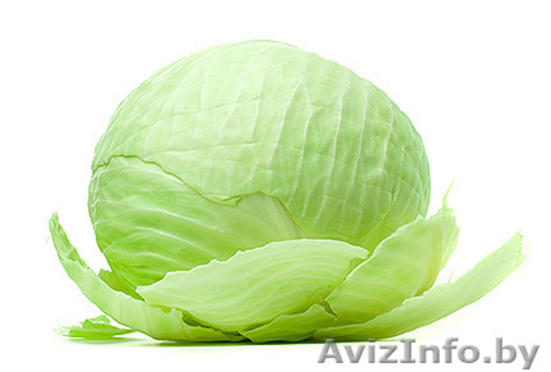 Овощи урожай 2015, опт - Изображение #2, Объявление #1335796