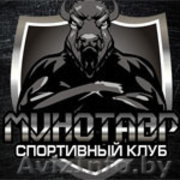 Тренировки по боксу, ММА, рукопашному бою, Muay Thai в Могилеве - Изображение #1, Объявление #1363147