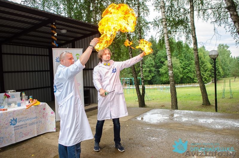 Игровая программа с научными экспериментами на ДР мальчика - Изображение #3, Объявление #1406273