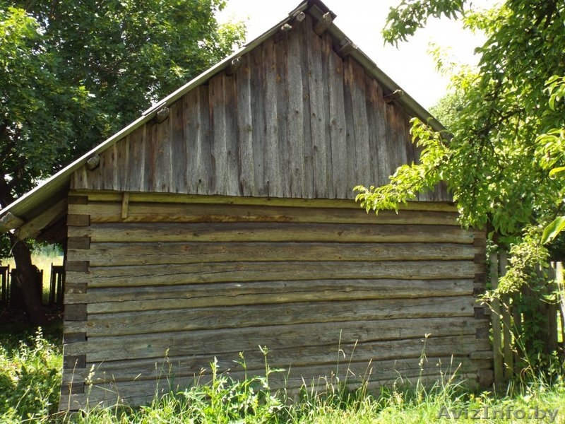 Сруб деревянный (хозпостройка) - Изображение #2, Объявление #1468967