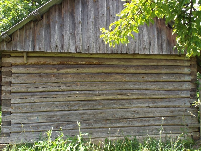 Сруб деревянный (хозпостройка) - Изображение #4, Объявление #1468967