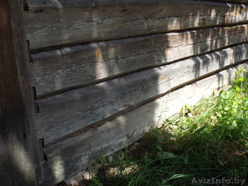 Сруб деревянный (хозпостройка) - Изображение #5, Объявление #1468967