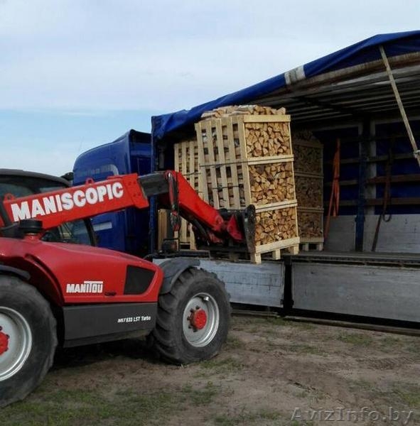 Колотые дрова: дубовые, берёзовые, хвойные (ель/сосна) - Изображение #5, Объявление #1484110