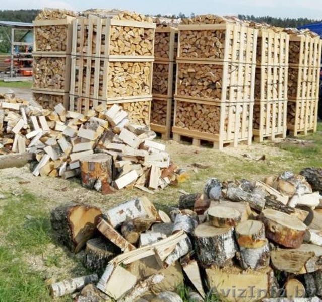Могилев Купить Дрова Колотые С Доставкой