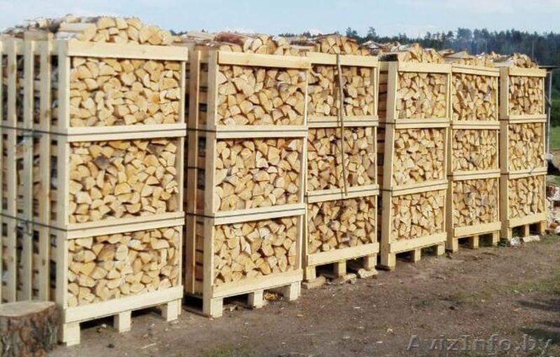Колотые дрова: дубовые, берёзовые, хвойные (ель/сосна) - Изображение #6, Объявление #1484110