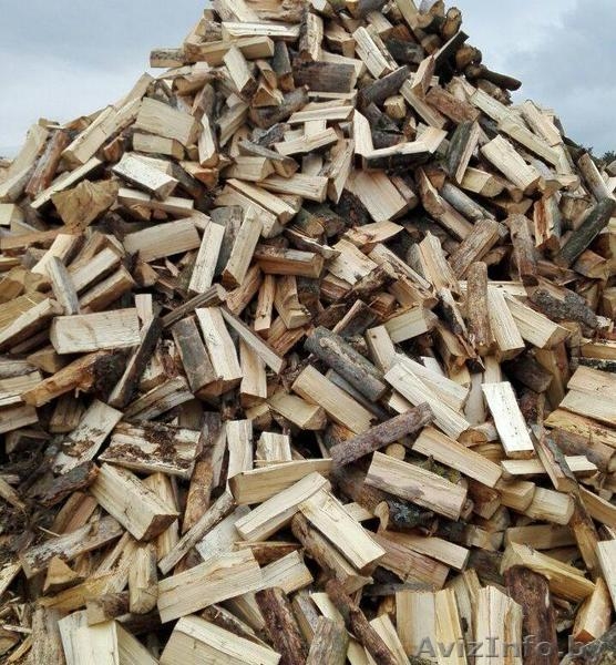 Колотые дрова: дубовые, берёзовые, хвойные (ель/сосна) - Изображение #4, Объявление #1484110
