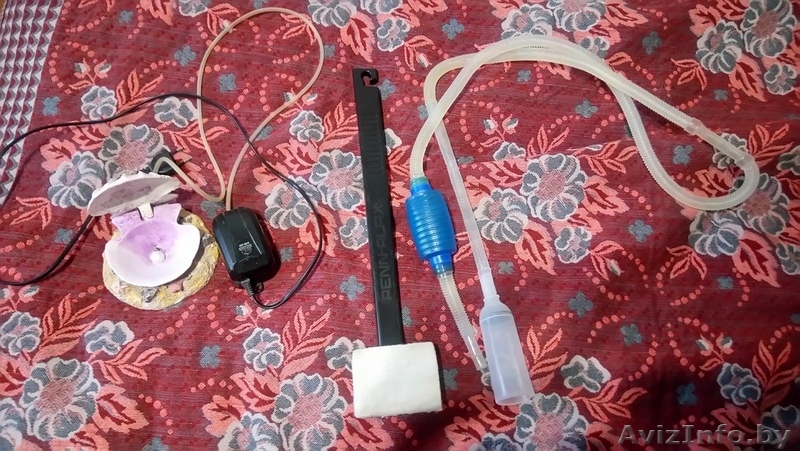 Продам аквариум с оборудованием и декорациями - Изображение #8, Объявление #1520263