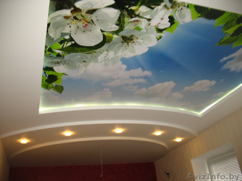 Ремонт квартир, домов. Любые виды отделочных работ. - Изображение #5, Объявление #1529668