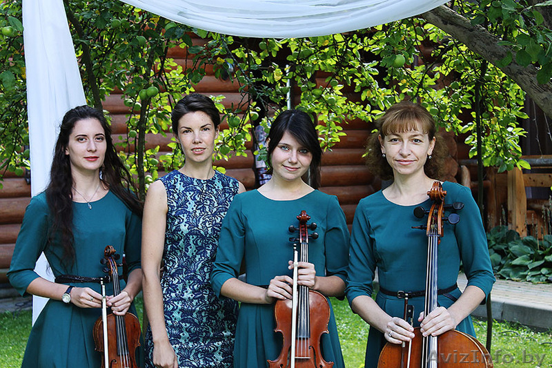 Струнное трио. Музыкальное сопровождение выездных регистраций. - Изображение #1, Объявление #1290718