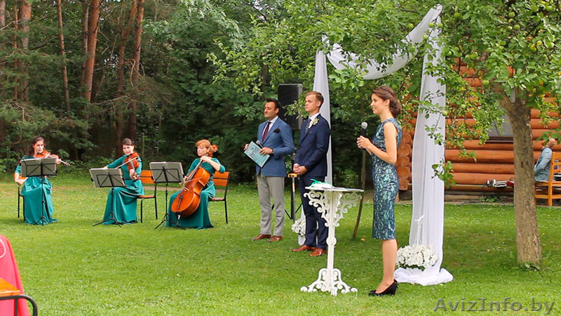 Струнное трио. Музыкальное сопровождение выездных регистраций. - Изображение #3, Объявление #1290718