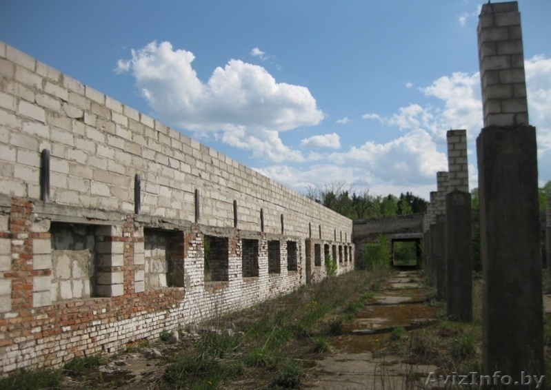 Производственная база на трассе д. Голынка - Изображение #5, Объявление #1558376