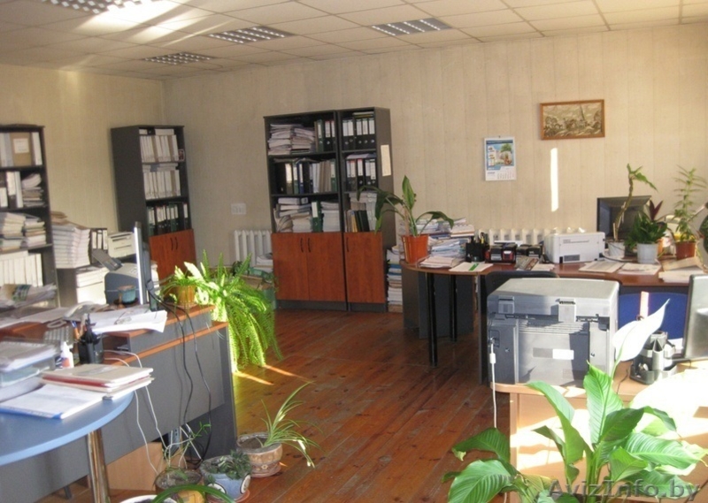 Производственная база в Елизово - Изображение #10, Объявление #1558378