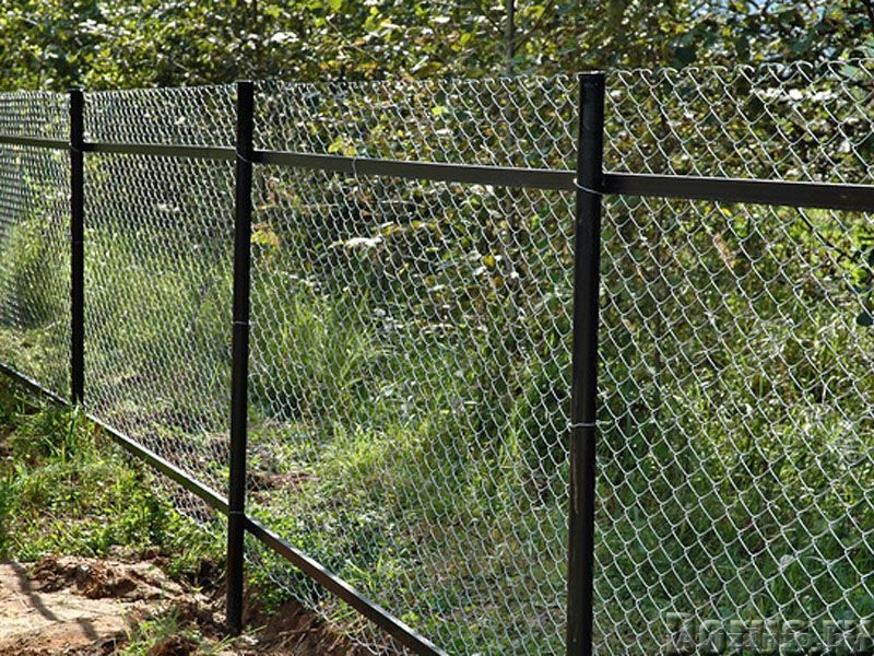 Сетка-рабица с производства с бесплатной доставкой по всей стране - Изображение #1, Объявление #1562899