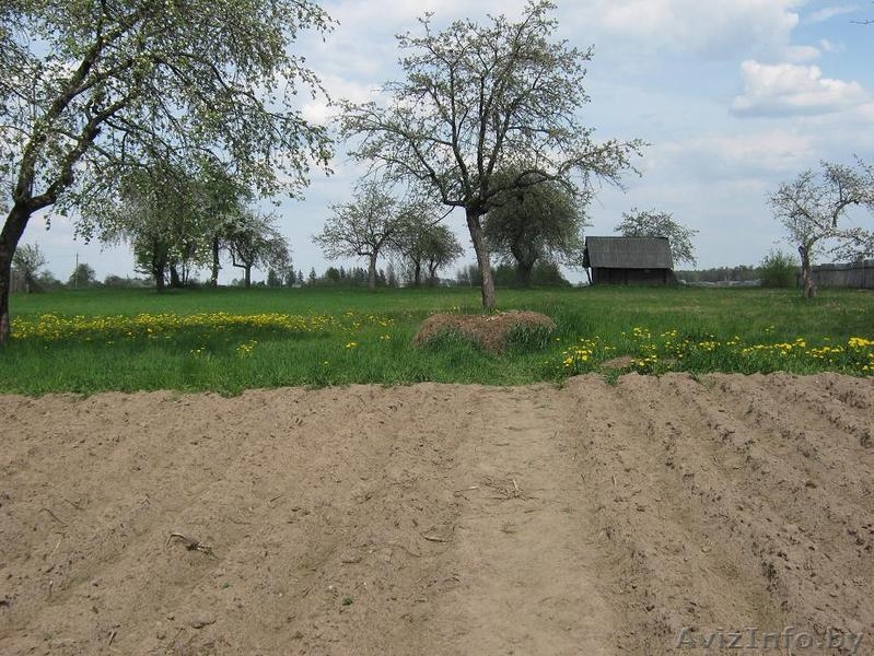 Продается деревянный дом в  а/г  Межисетки  Могилевского р-на  - Изображение #5, Объявление #1575231