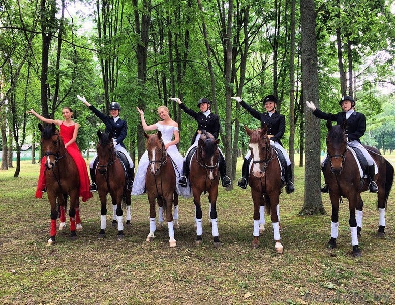 Катание на лошадях, тренажерный зал, сауна - Изображение #6, Объявление #1336538